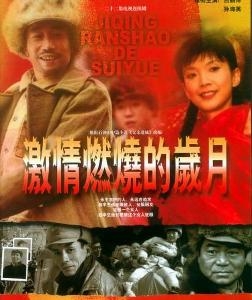 《激情燃烧的岁月》
