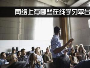 大型开放式网络课程
