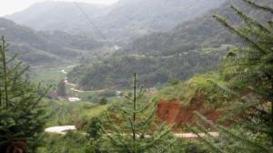 山林
