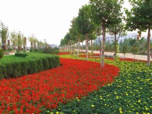 菜葫芦基地