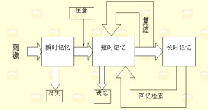 记忆的三级信息加工模式图