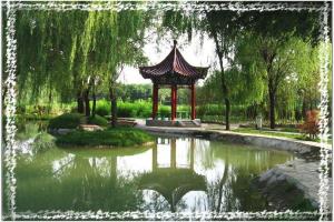 唐山南湖公园风景