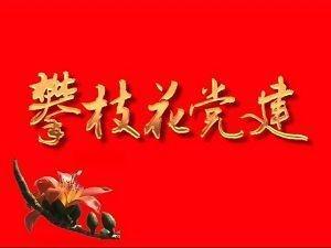 《攀枝花党建》栏目序幕