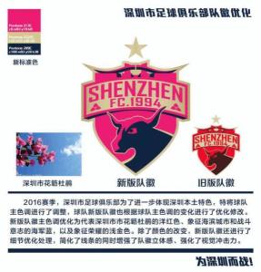 队徽简介