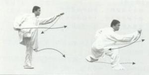 白猿通背拳