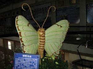 蝴蝶效应