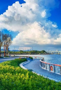 深圳湾公园