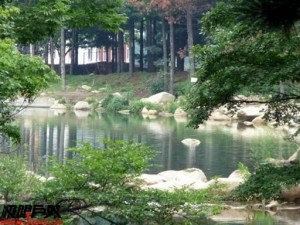 猴石森林公园