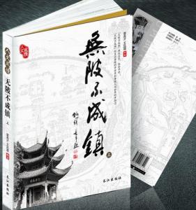 裴高才、王凤霞著《无陂不成镇》书影