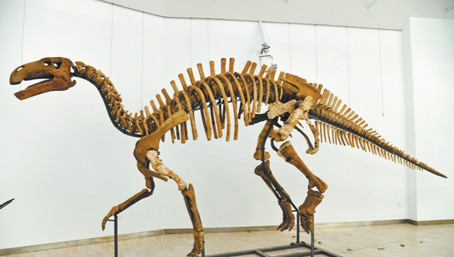 栖息环境鸭嘴龙(hadrosaurs,生存于1亿年前白垩纪