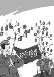 “无根树” 的祸害