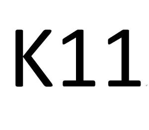 k11