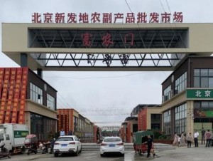 北京新发地市场