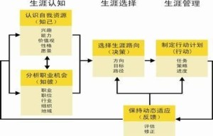 企业如何管理员工的职业生涯规划