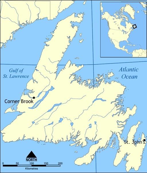纽芬兰岛人口图片