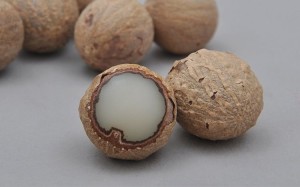 菩提果