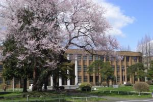 湘南工科大学