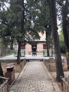郏县