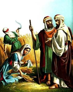 家身份词条图册路得是生活在大约公元前1100年的一位摩押族中东女子