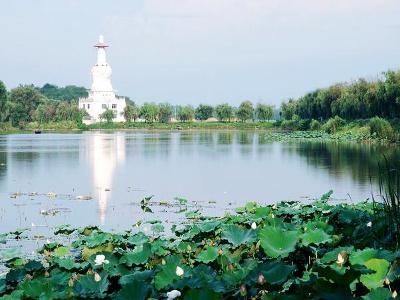 八里河风景区