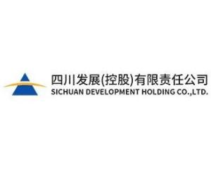 四川发展控股有限责任公司