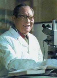 孙大文