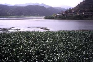 燕子砭图景