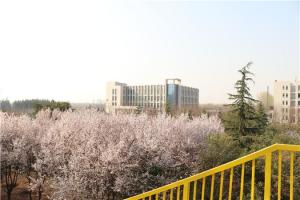校园风景