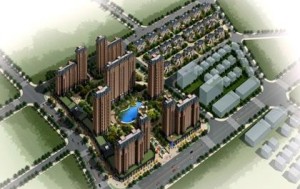 房地产开发公司 300