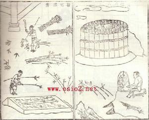 古法造纸1煮竹