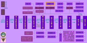 中央大学历史沿革——上海医科大学