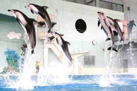 八景岛水族馆