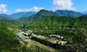 “绿色王国”西峡