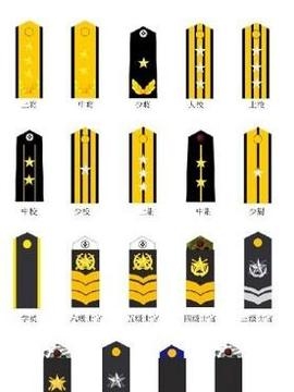 海军肩章级别图军官图片