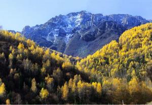 雷古雪山