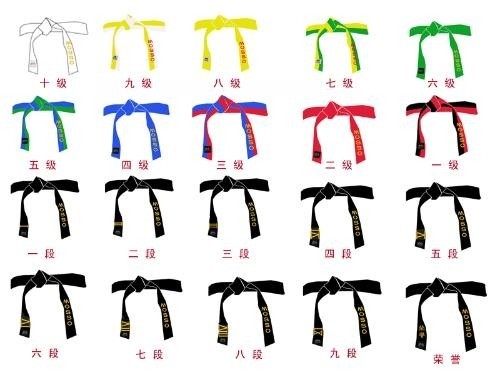 跆拳道段位(按照跆拳道造诣水平划分的等级)