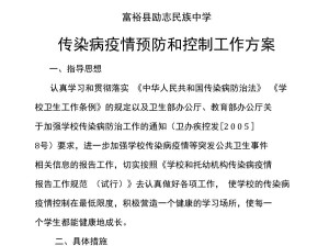 工作方案