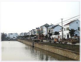 陶庄村生态村