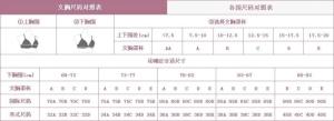 胸罩型号确定