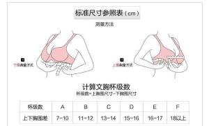 胸罩标准尺寸参照表
