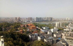 南县