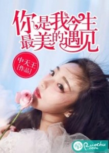 最美遇见，网络短剧免费观看的奇妙之旅，最美遇见，免费网络短剧的奇妙之旅