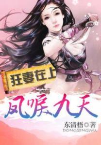 凤唳九天（小说）