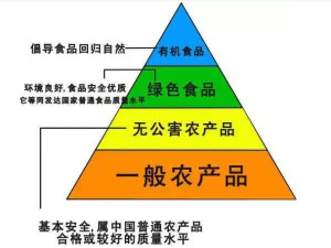 食品质量与安全