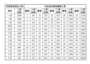 专业技术岗位