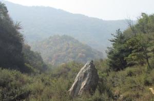 丹江发源地陕西省商州秦岭凤凰山