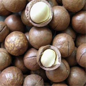 澳洲坚果