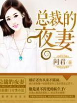 总裁的夜妻