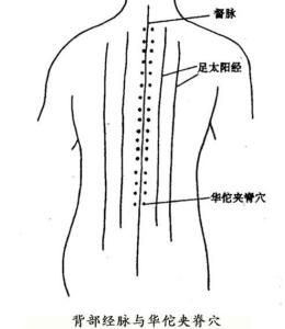 夹脊双关图片