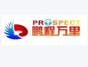 鹏程万里抖音号简介 300